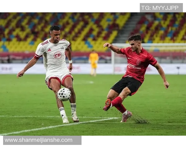 梅特罗联与阿德莱德比赛实时比分更新及精彩瞬间回顾